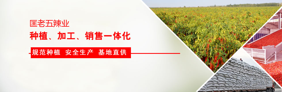 匡老五辣業(yè)與隆平高科、湘研種業(yè)合作